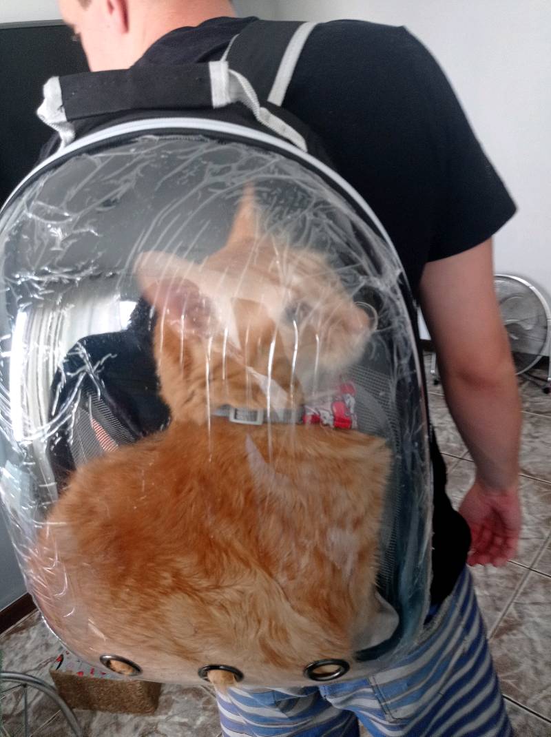 Mochila Pet para transporte de cães e gatos visão panorâmica_Lonix Shopping