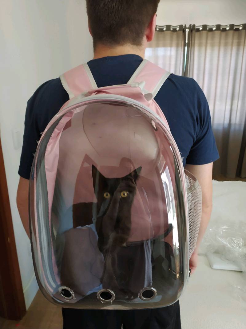 Mochila Pet para transporte de cães e gatos visão panorâmica