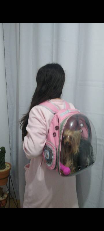 Mochila Pet para transporte de cães e gatos visão panorâmica_Lonix Shopping